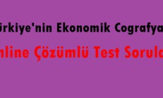 Türkiye’nin Ekonomik Coğrafyası Online Çözümlü Test Soruları