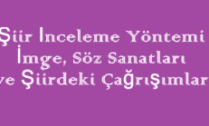 Şiir İnceleme Yöntemi (İmge, Söz Sanatları ve Şiirdeki Çağrışımlar) Online Test