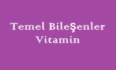 Temel Bileşenler – Vitamin – Biyoloji Online Test