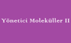 Yönetici Moleküller 2 -9. Sınıf Biyoloji Online Test