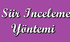 Şiir İnceleme Yöntemi (İmge, Söz Sanatları ve Şiirdeki Çağrışımlar) 9.Sınıf Türk Edebiyatı Online Test