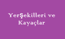 Yerşekilleri ve Kayaçlar Online Test Soruları Çöz – 2 Minik Deneme