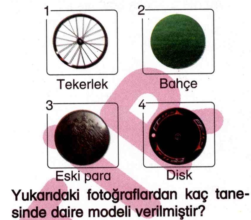 Daire modeli ile ilgili soru