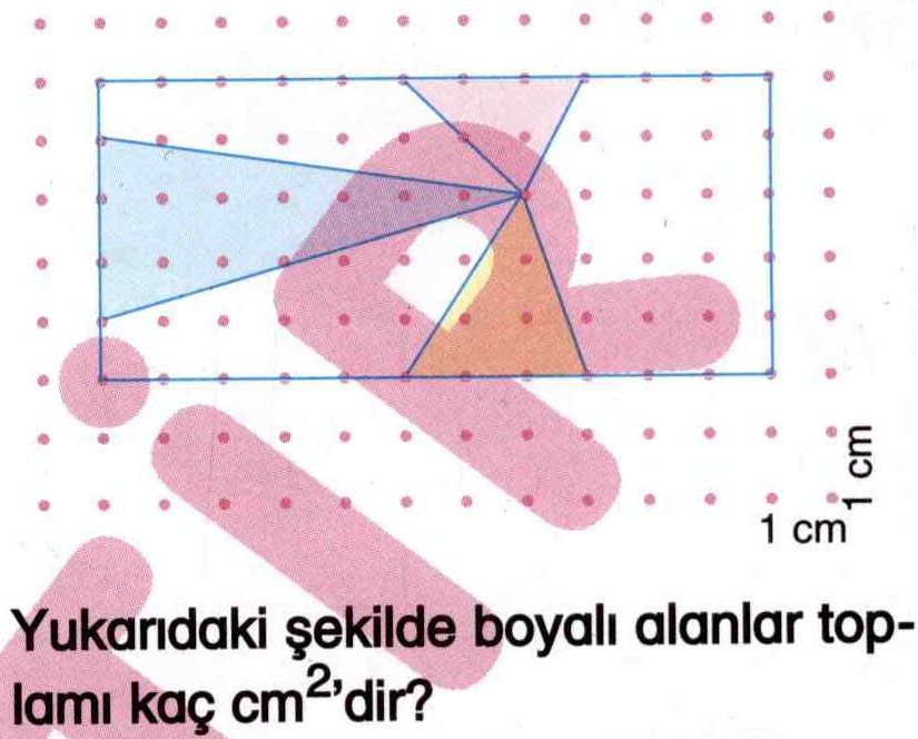 Noktalı düzlem üzerinde alan hesaplama ile ilgili test