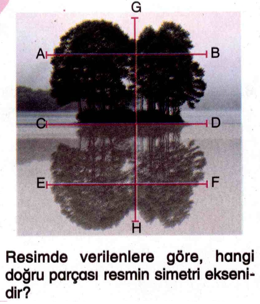 Resmin simetri doğrusu ile ilgili soru