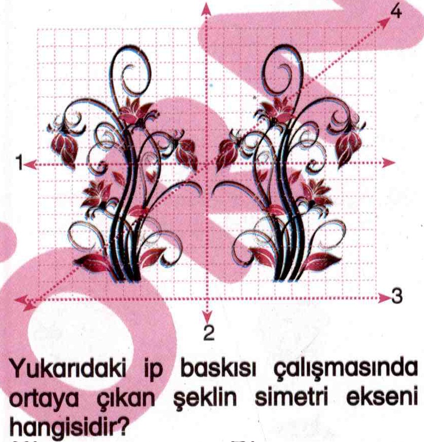 İp baskısı çalışmasında simetri ile ilgili soru