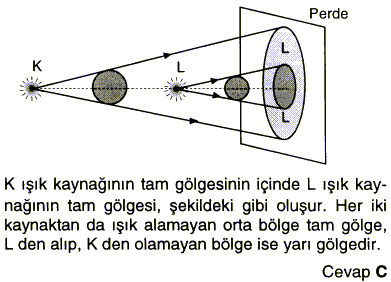 C13