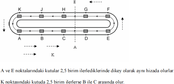 c31