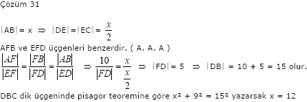 c31