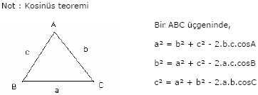 c31___