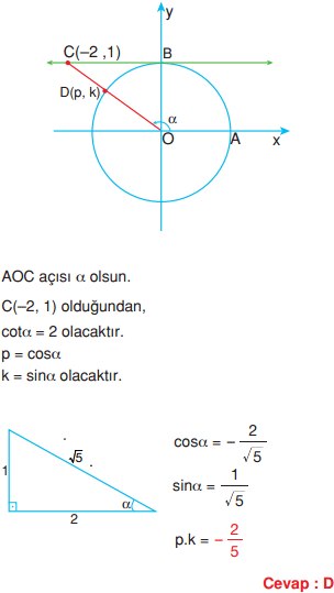 c13