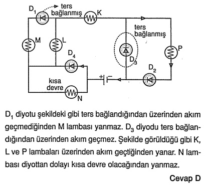 C10