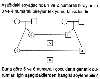 S35