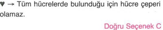 Bakteri ve hayvan hücrelerinde bulunan bazı organeller ile ilgili sorunun cevabı