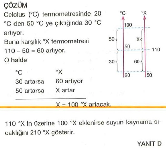 C33