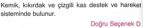 Destek ve hareket sistemi ile ilgili sorunun cevabı