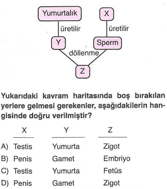 Döllenme ile ilgili soru