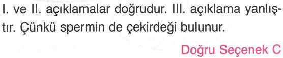 Erkek Üreme Hücresi İle İlgili Sorunun cevabı