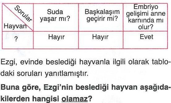 Evde beslenebilecek hayvanlarının özellikleri ile ilgili soru