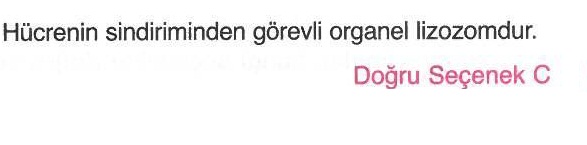 Hücrenin sindirim sistemiyle ilgili sorunun cevabı