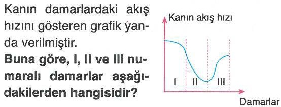 Kanın damarlardaki akış hızı ile ilgili soru