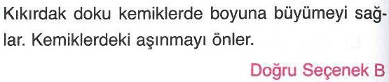 Kemiklerde boyuna büyüme ile ilgili sorunun cevabı