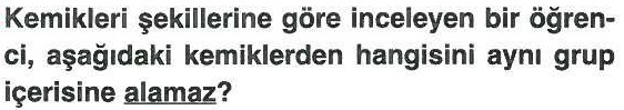 Kemiklerin şekillerine göre gruplandırılması ile ilgili soru