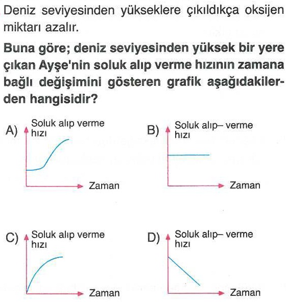 Soluk alıp verme hızı ile ilgili soru