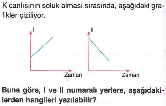 Soluk alıp verme ile ilgili soru