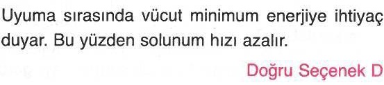 Soluk alıp vermeyi hızlandıran aktiviteler ile ilgili sorunun cevabı