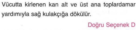 Temiz kanın vücutta dolaşması ile ilgili sorunun cevabı