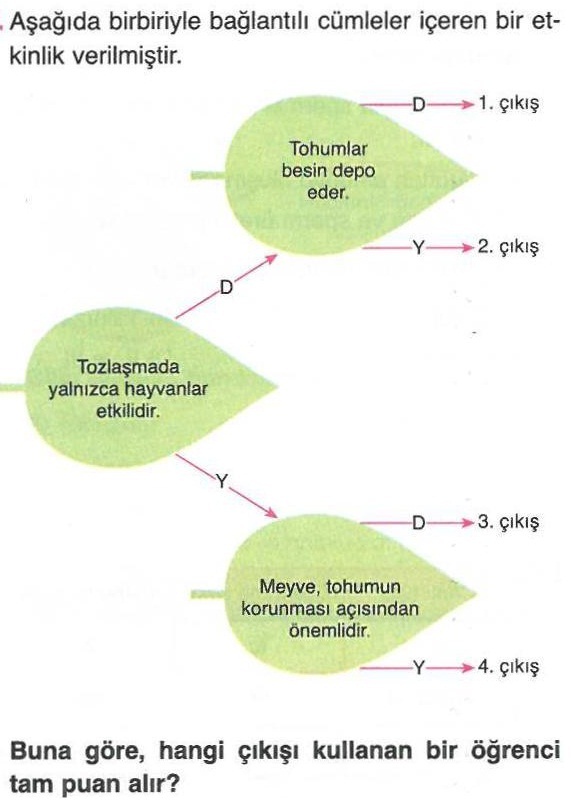 Tohumlar ve Tozlaşma İle İlgili Soru