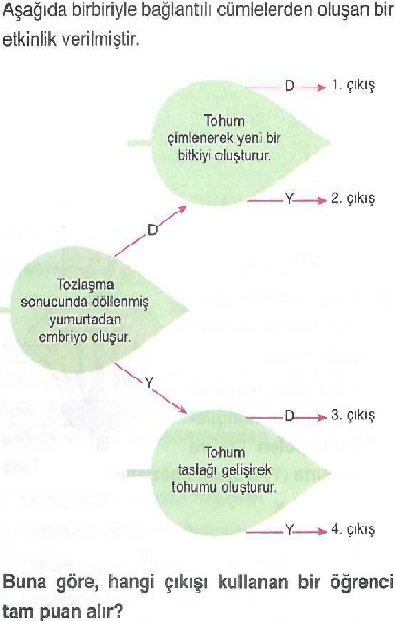 Tohumun gelişmesi ile ilgili soru