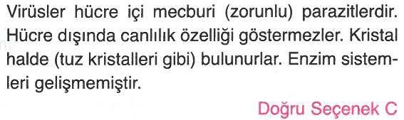 Virüsler ile ilgili sorunun cevabı