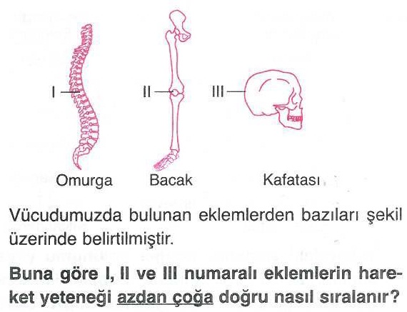 Vücudumuzdaki eklemlerin hareket yeteneği ile ilgili soru