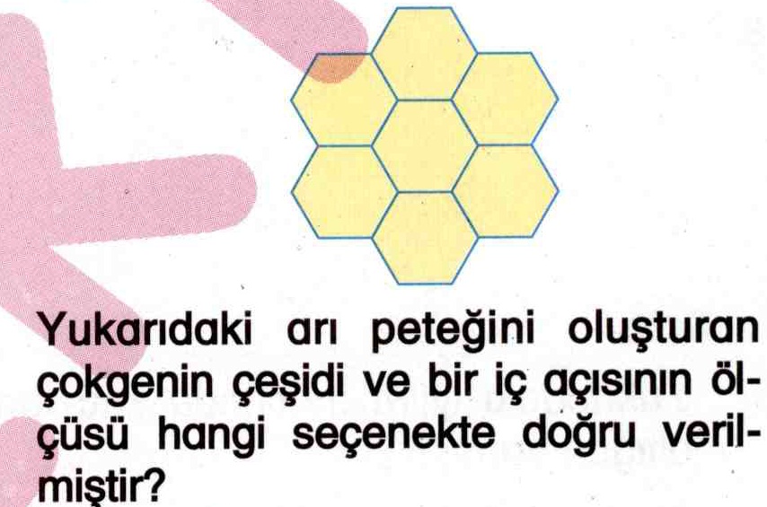Çokgenlerin çeşitleri ile ilgili soru