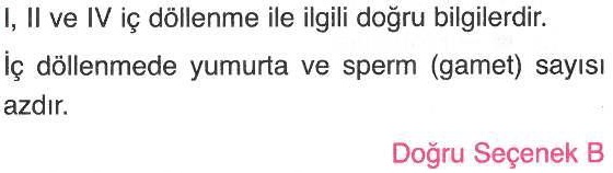 İç döllenme ile ilgili sorunun cevabı