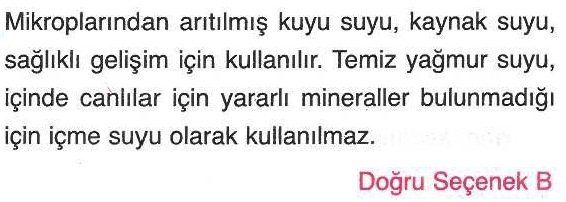 İçme suyu olarak kullanılmayan sular ile ilgili sorunun cevabı