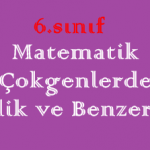 6. Sınıf Matematik Çokgenlerde Eşlik ve Benzerlik Online Test Çöz
