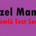 Sözel Mantık Çözümlü Test Soruları – Online – 2