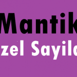 Online Çözümlü Sayısal Mantık Soruları – Özel Sayılar