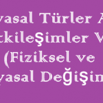 Kimyasal Türler Arası Etkileşimler 4 ( Fiziksel ve Kimyasal Değişimler )
