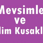 Mevsimler ve İklim Kuşakları Online Test