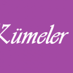 Kümeler – 1 Matematik Online Test
