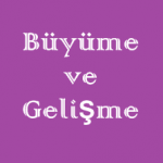 Büyüme ve Gelişme Online Test