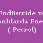 Endüstride ve Canlılarda Enerji ( Petrol) Online Test