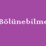 Bölünebilme Online Test