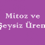 Mitoz ve Eşeysiz Üreme Online Test