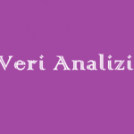 Veri Analizi Online Test