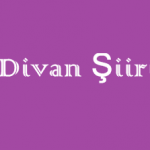 Divan Şiiri Online Test